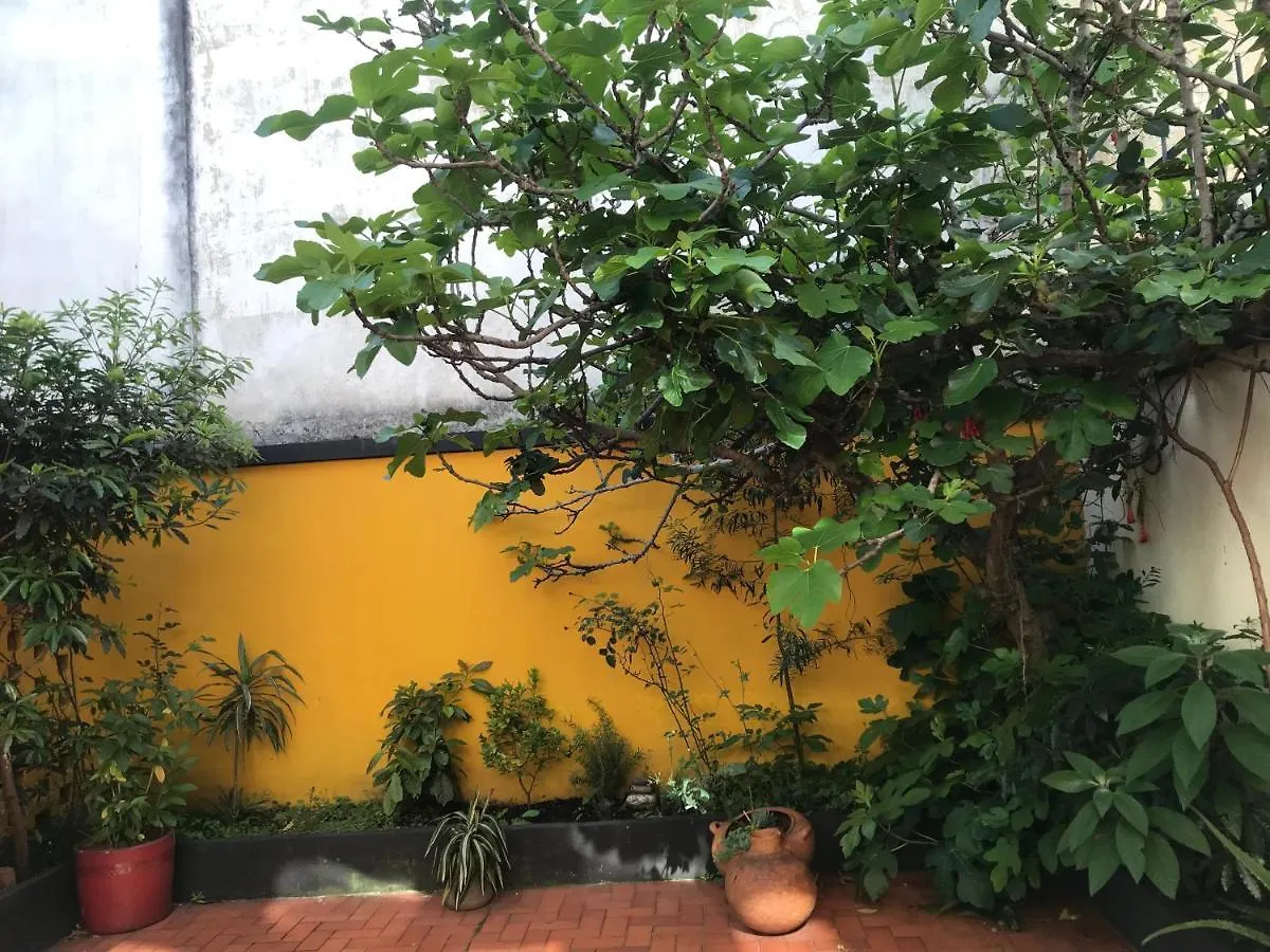 Anastasio Gutman House Apartment Bogota Homestay